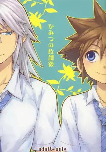 (C73) [RS (Samwise)] Colourful Sky (Kingdom Hearts) [Chinese] [人間兄器]