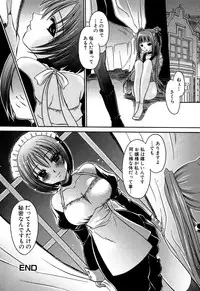 [Shinonome Ryu] Inzan!! Torawareta Kunoichi to Himegumi