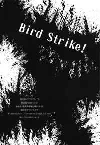 (C77) [Terradrive] Bird Strike! (Strike Witches) [English] [lunatic Translation]