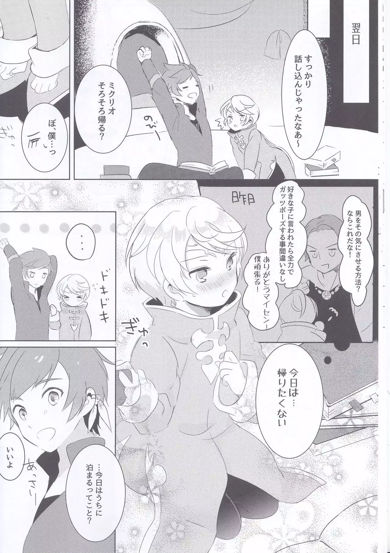 Hayazaki no Bougainvillea