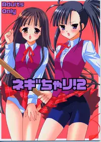(CR35) [Teruo Haruo (Kanekiyo Miwa)] Negi Chari ! 2 (Mahou Sensei Negima!)