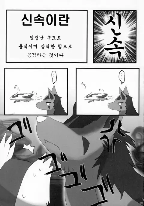 Diet Kuma!!