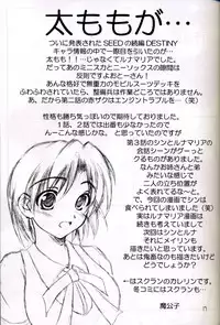 (C67) [Red Ribbon Revenger (Hayama, Makoushi)] Shouhou (Gundam Seed Destiny)