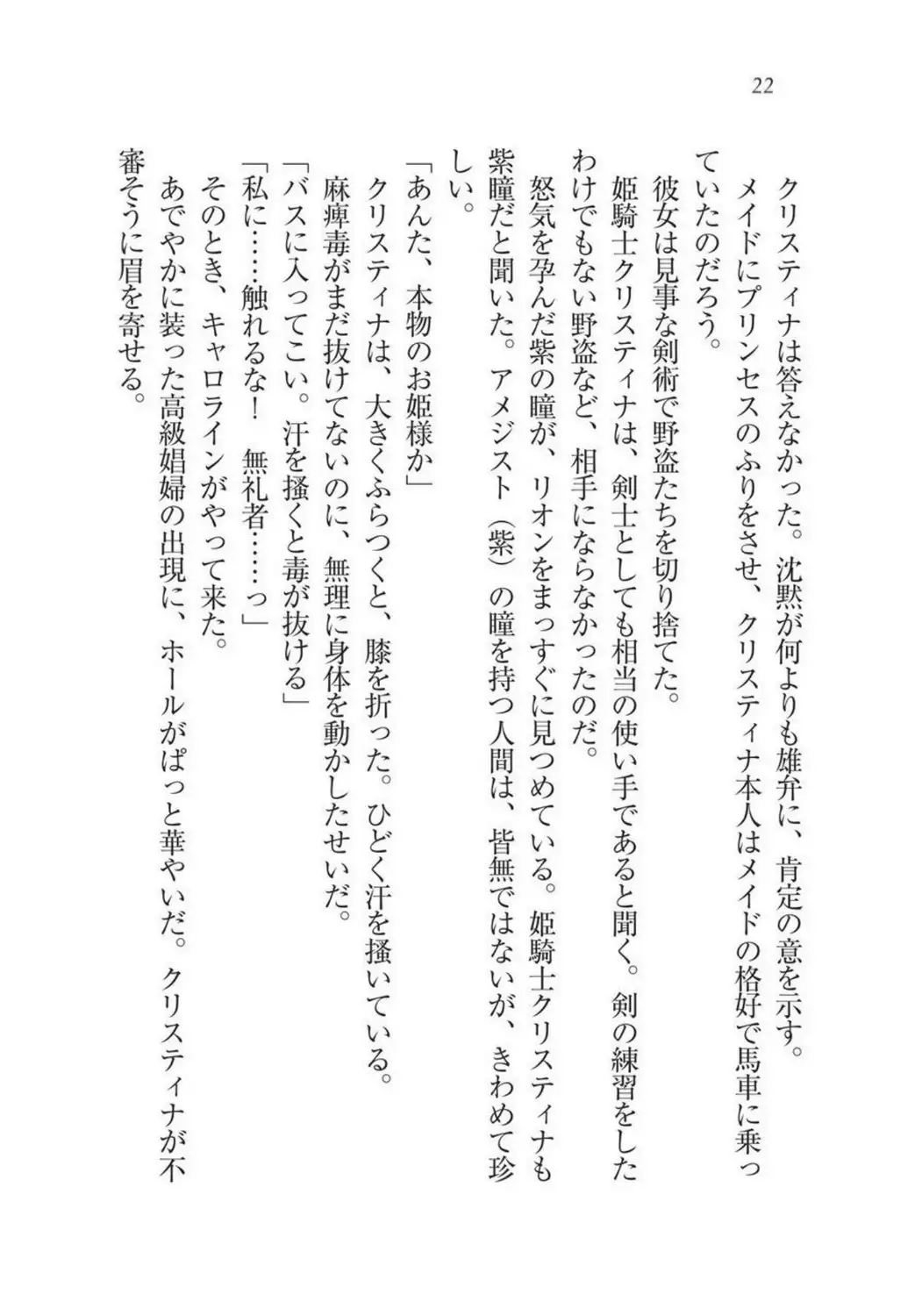 Christina Senki Houshi no Himekishi to Kokkyou no Shounin