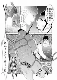 Yasei no Doumei