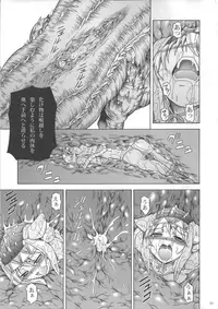 (C81) [Yokohama Junky (Makari Tohru)] Solo Hunter no Seitai 3 (Monster Hunter)
