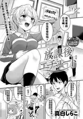 フェチシチュしぶりん