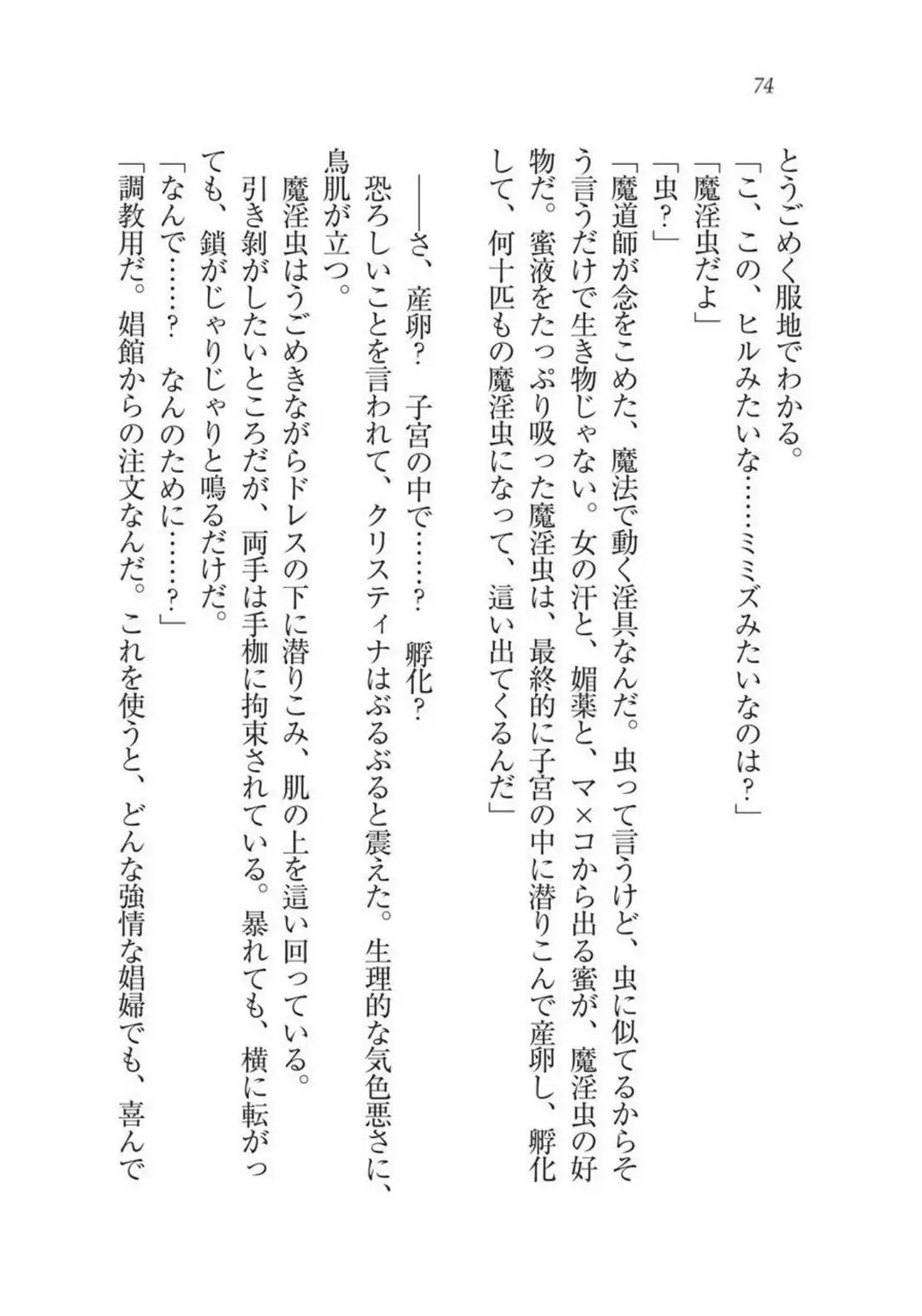 Christina Senki Houshi no Himekishi to Kokkyou no Shounin