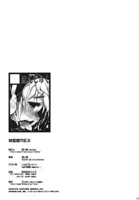 (Reitaisai SP2) [Hannama (Soine, Mitsugi)] Shinreibyouketsu EX (Touhou Project)