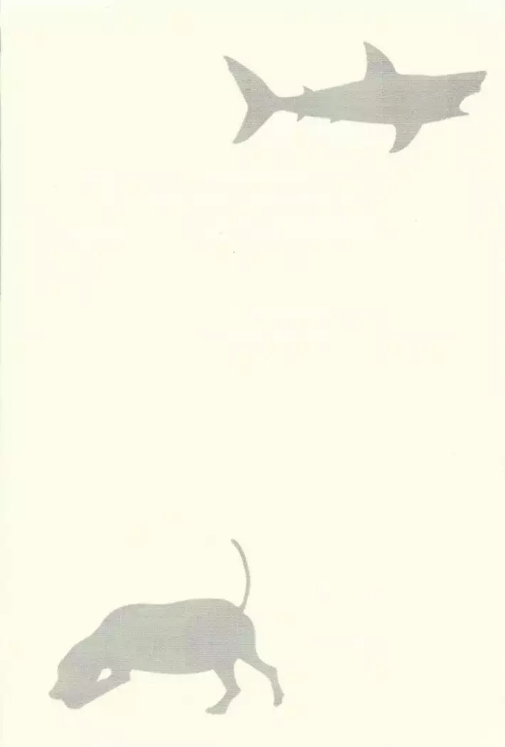 Same inu