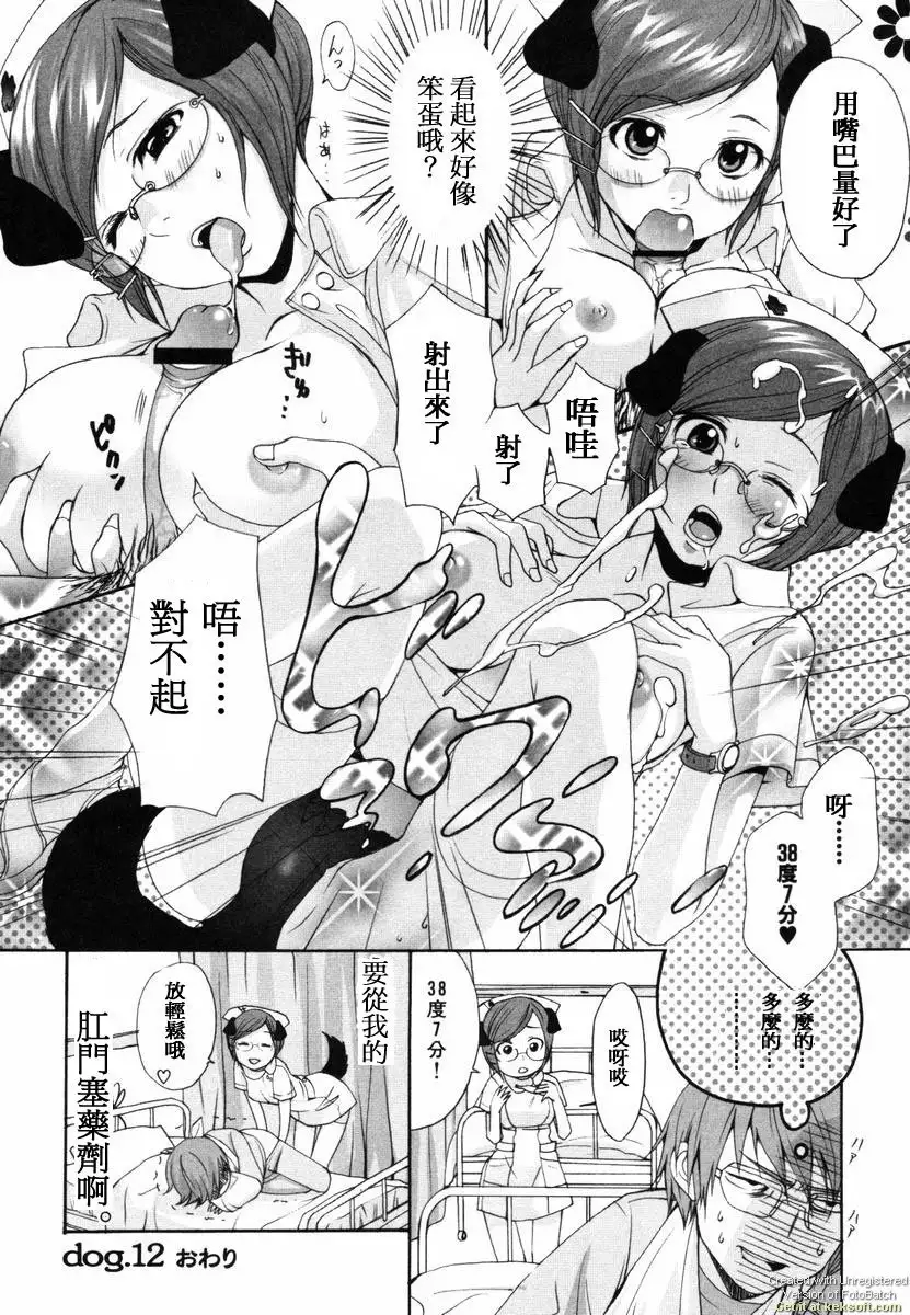 Inumimi Zukan