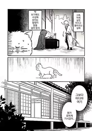 Godfinger Hijikata and magic kiss