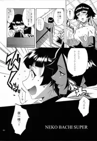 (C73) [Rabbit House (Akimoto Karma)] Neko Bachi Super (Bleach)