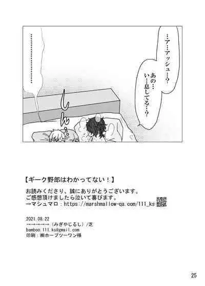 Geek Yarou wa Wakattenai!