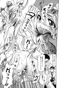 COMIC MegaPlus 2007-05 Vol. 43