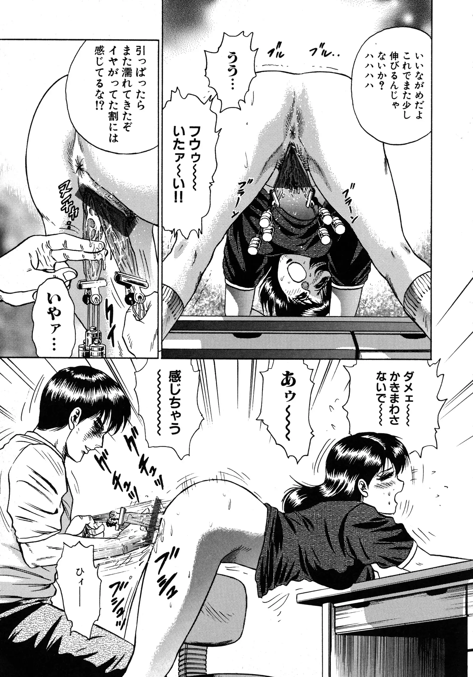 Ryoujoku Niku Manji