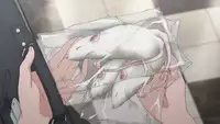[Hattori Mitsuka] Kaika (Kemono DIRECT 3) [Chinese]