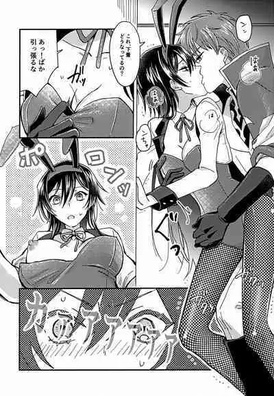 Usagi no Suana