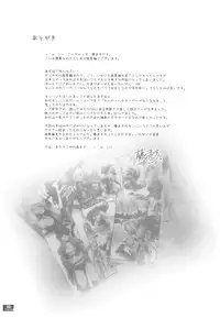 (C78) [Fujiya Honten (Thomas)] Hunter's Bible (Monster Hunter)