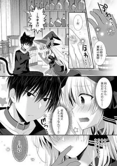 Ponkotsu Majo to Ijiwaru na Neko.