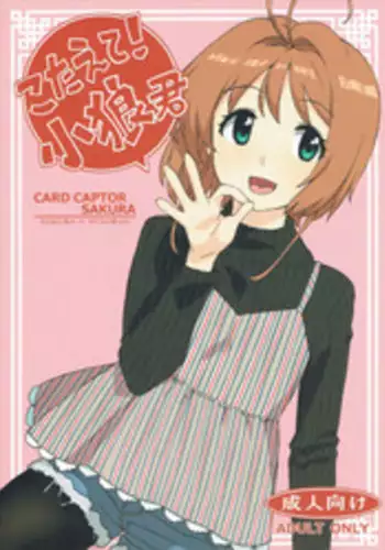 (COMIC1☆12) [MURDERHOUSE (Workaholic)] Nitamono Doushi (Cardcaptor Sakura) [Chinese] [沒有漢化]