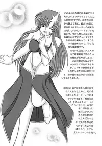 (SC29) [D'ERLANGER (Yamazaki Show)] Dispersion (Gundam SEED DESTINY)