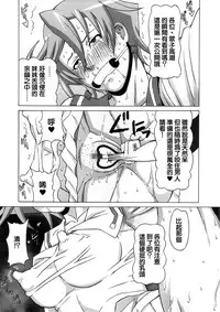 (C86) [BooBooKid (PIP)] Tatsunagi Kourin ni Mechakucha Shitemita (Cardfight!! Vanguard) [Chinese] [正人君子路过汉化]