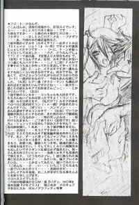 (C66) [PONCHEES (Kari) (Irohane Sui)] PIKA☆☆NCHI (Bleach) [English]