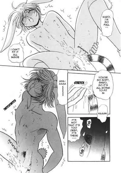 [Anthology] Puchi D VOL. 4 Kemonomimi [English] [DokiDoki]