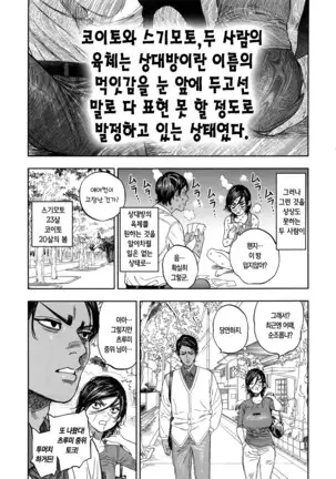 Koisugi | 코이스기