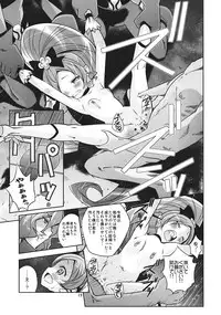 (C78) [Byousatsu Tanukidan (Saeki Tatsuya)] Reaped flower (Heartcatch Precure!)