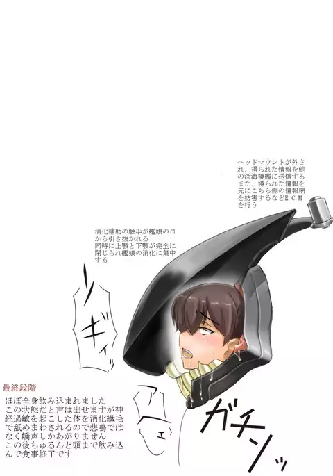 Shimacchau Wa-san