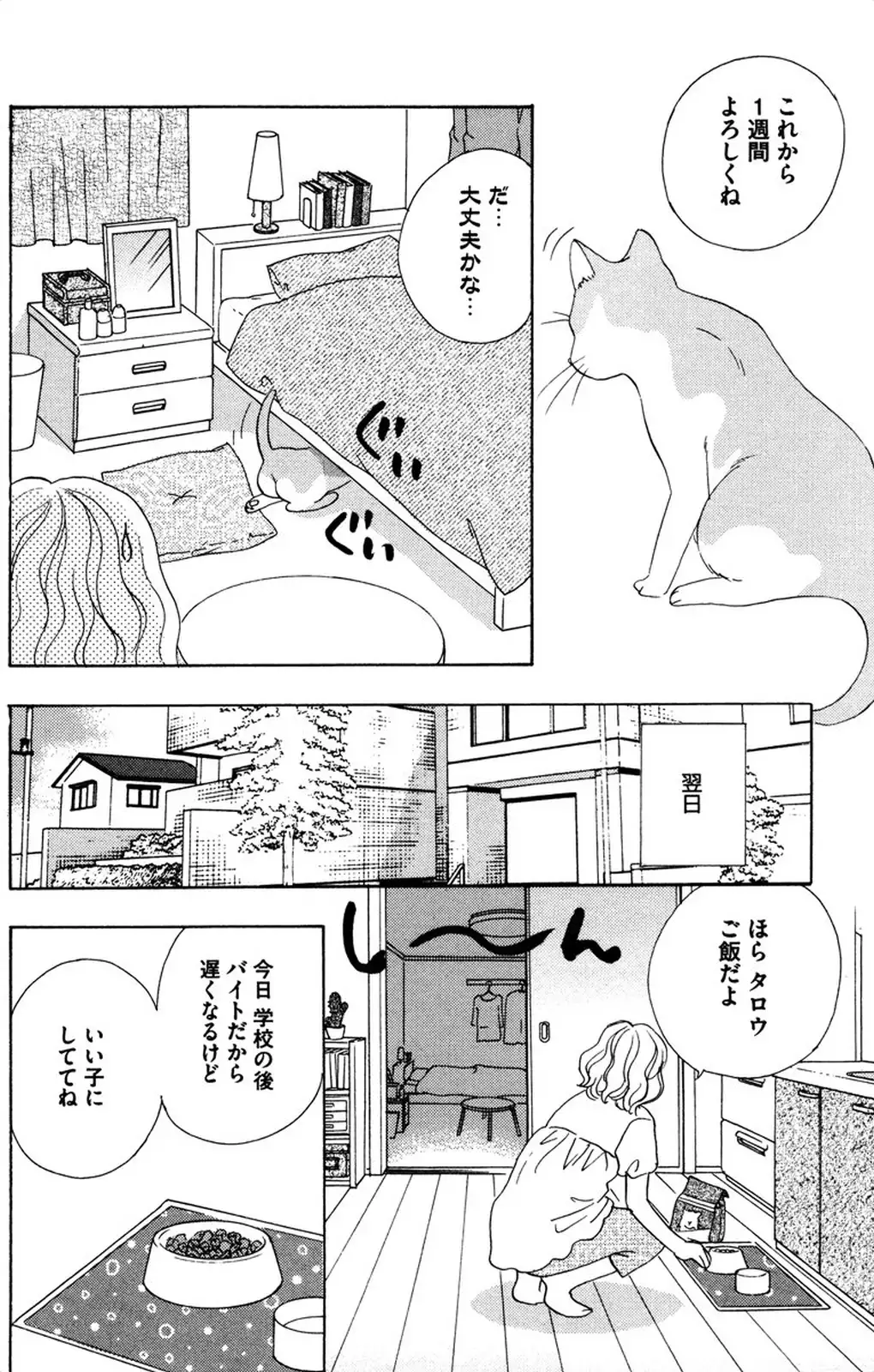 Oniichan to love Night