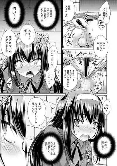 Etchina otokonoko no sodate-kata