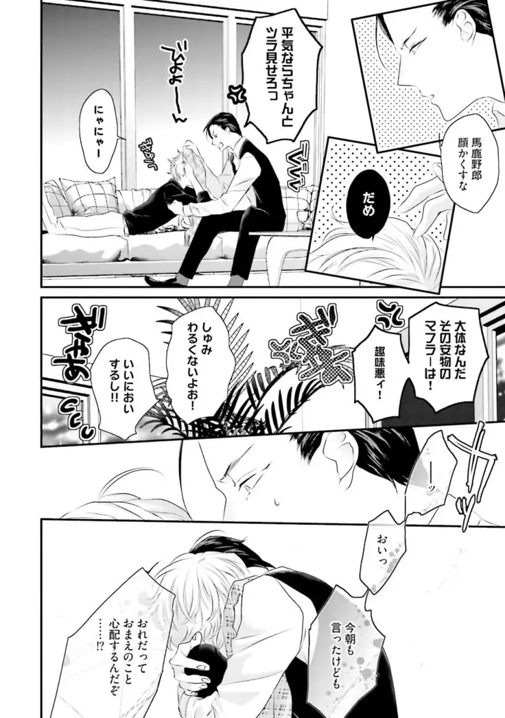 Tennen Jufun Sugar Baby