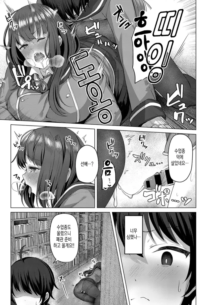 Toshoshitsu no himegoto