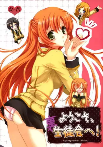 (C80) [Pyonpyororin (Akoko.)] partner (Seikon no Qwaser) [English] {CGrascal}
