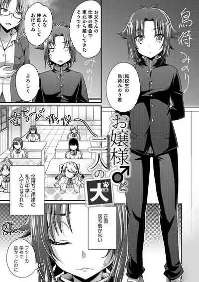 Etchina otokonoko no sodate-kata