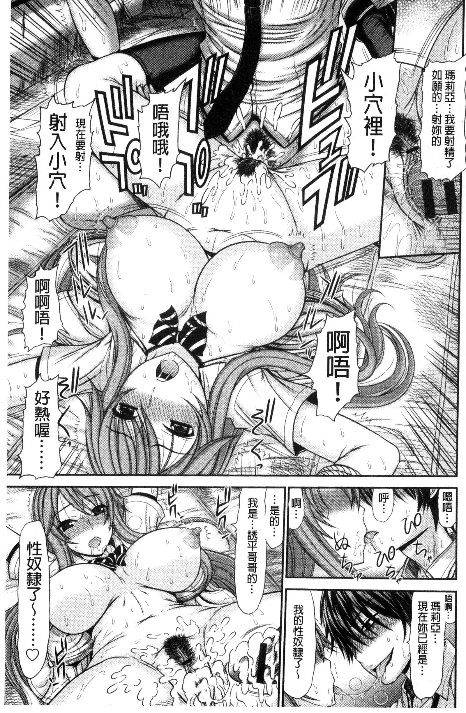Shimai Seikou Inshuu