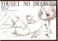 (C83) [Gekidoku Shoujo (ke-ta)] Yousei no Drawers (Touhou Project)