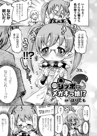 Comic Unreal 2010-04 Vol.24 [Digital]