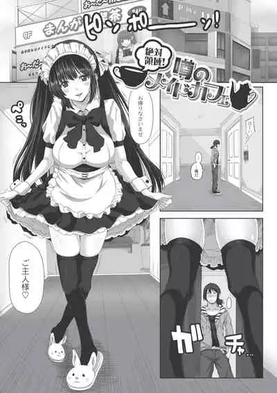 Ashikokisky