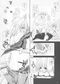 (CR35) [Digital Lover (Nakajima Yuka)] D.L. action 24 (Ragnarok Online)