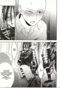 (C86) [LITHIUM (Yukimaru)] stray cat (One Punch Man) [English] [Cody Scans]