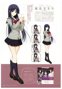 Walkure Romanze More & More Visual Fan Book