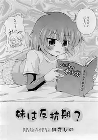 Comic RiN [2009-05] Vol.53