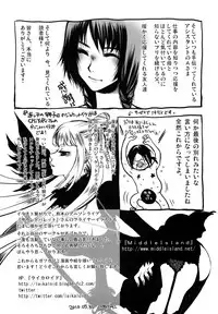 [Kamitani] ADE-MAN