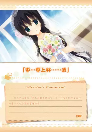 AMAIRO ISLENAUTS OFFICIAL VISUAL FAN BOOK