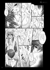 [ARC (Tamagawa Yukimaru)] Yume Utsutsu (Gundam Seed Destiny) [Digital]