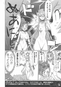 (C79) [Digital Accel Works (INAZUMA.)] INAZUMA SILHOUETTE (Heartcatch Precure!)